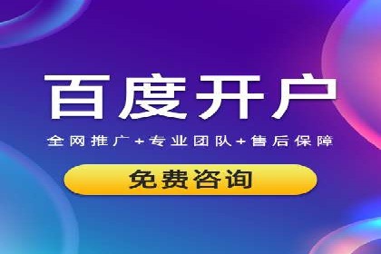 SEM竞价技巧：成功案例揭秘